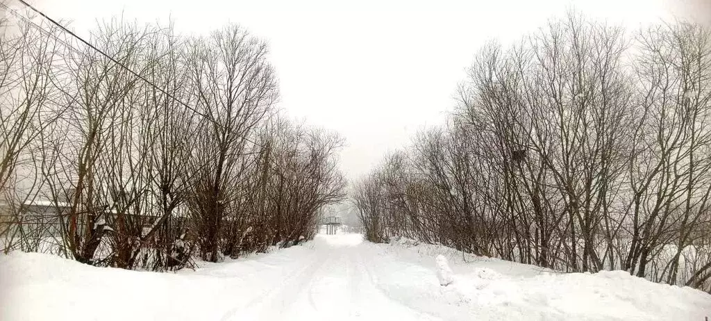 Участок в Кемерово, улица Черёмушки (11.33 м) - Фото 1