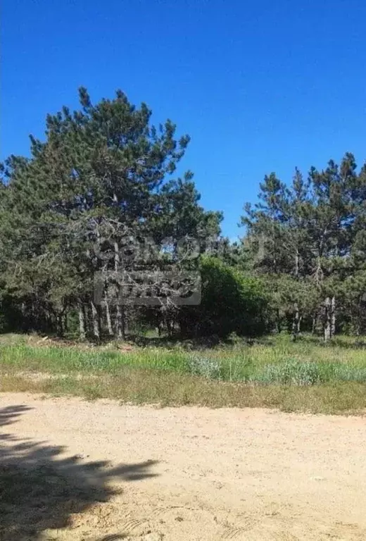 Участок в Севастополь ул. Генерала Жидилова, 48 (5.0 сот.) - Фото 1