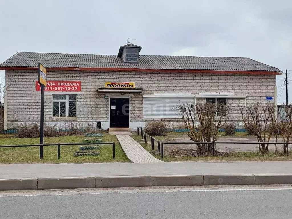 Торговая площадь в Архангельская область, с. Красноборск ул. Двинская, ... - Фото 1