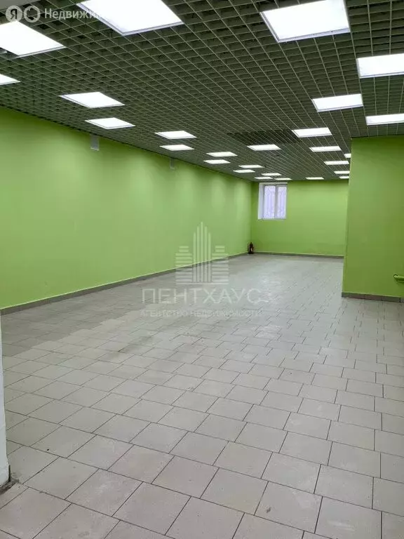 Помещение свободного назначения (235.5 м) - Фото 1