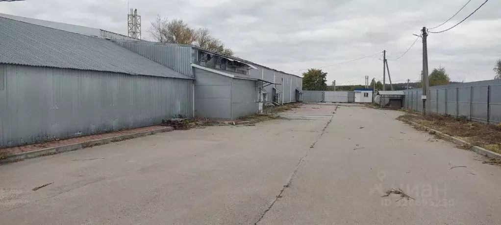 Помещение свободного назначения в Тульская область, Тула Красные ... - Фото 1