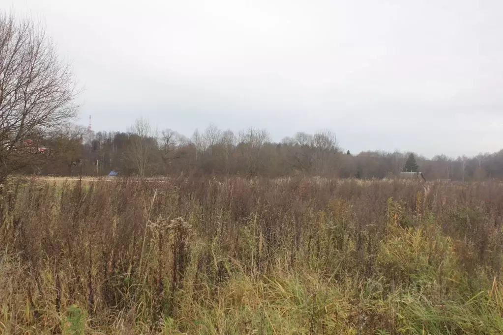 Участок в Москва д. Белоусово, 13В (17.03 сот.) - Фото 2