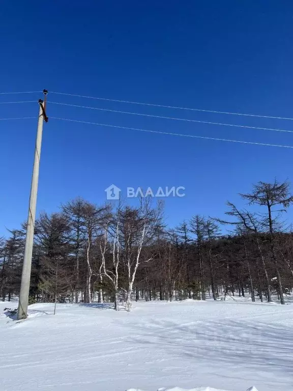 Участок в Сахалинская область, Корсаковский городской округ, с. ... - Фото 1