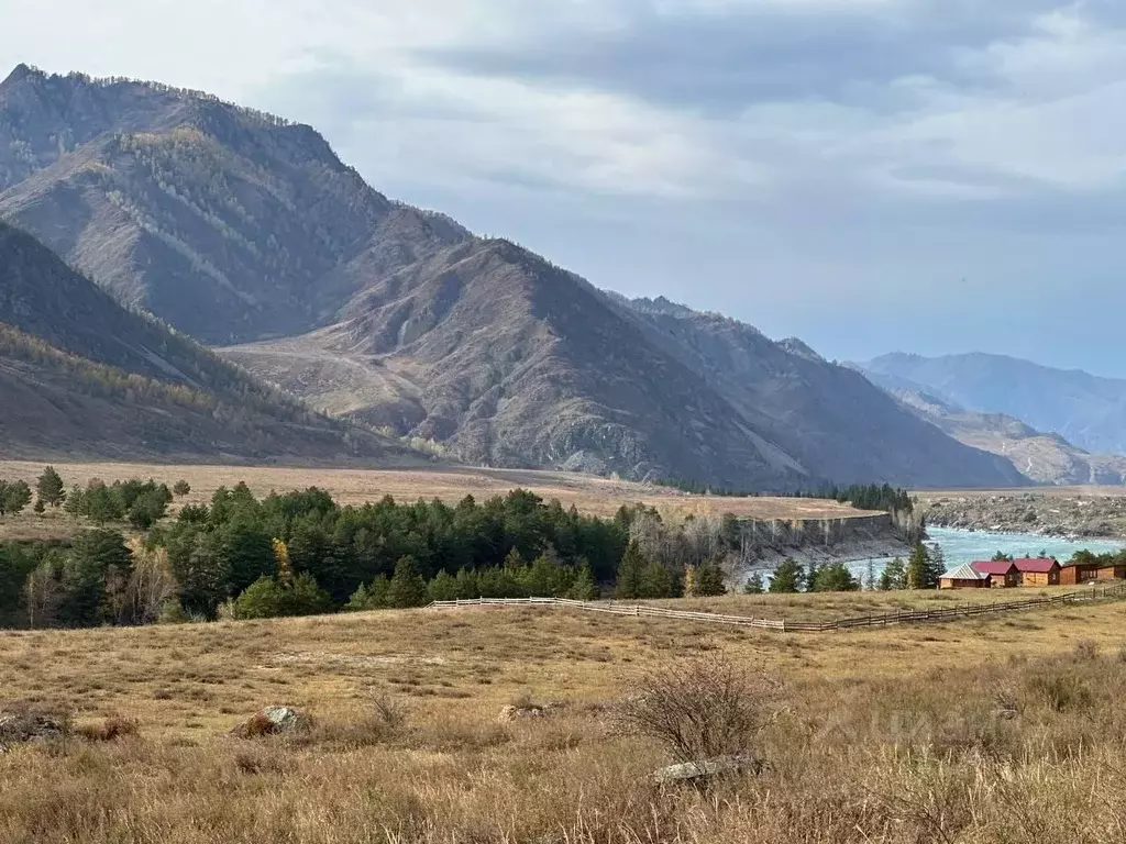 Участок в Алтай, Чемальский район, с. Куюс Центральная ул. (100.0 ... - Фото 0