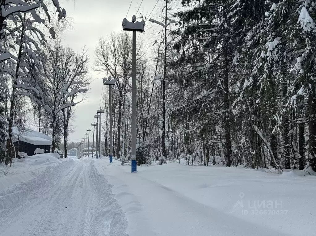 Участок в Московская область, Пушкинский городской округ, Софрино пгт  ... - Фото 2