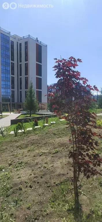 Квартира-студия: Западный, улица имени Капитана Ефимова, 5 (24.2 м) - Фото 1