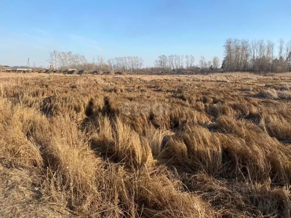 Участок в Амурская область, Благовещенск 5-я Стройка мкр, ул. ... - Фото 0