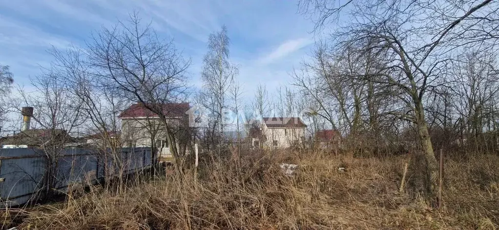 Участок в Нижегородская область, Нижний Новгород д. Бешенцево,  (5.5 ... - Фото 2