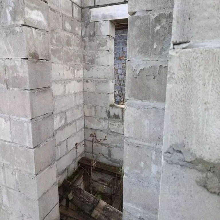 Участок в Алтай, Майминский район, с. Соузга Центральная ул., 75 (9.93 ... - Фото 1