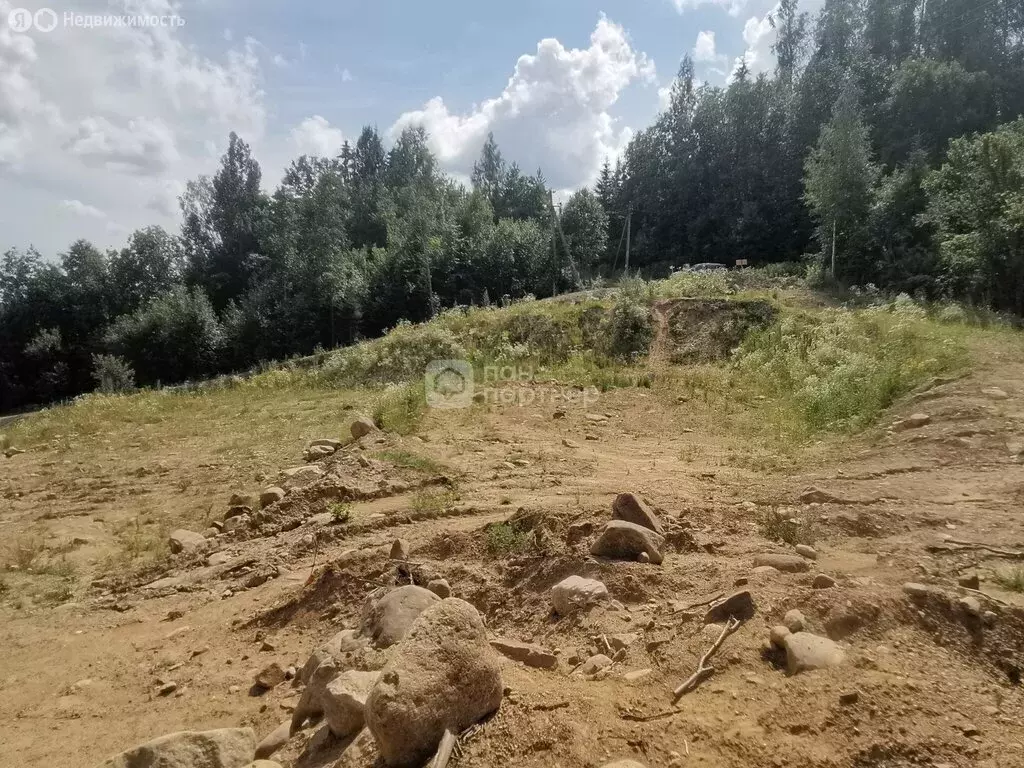 Участок в Сосновское сельское поселение, СНТ Золотой Колос, ... - Фото 2