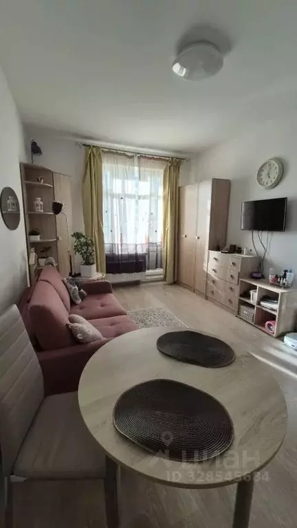 Студия Санкт-Петербург Союзный просп., 4 (23.4 м) - Фото 2