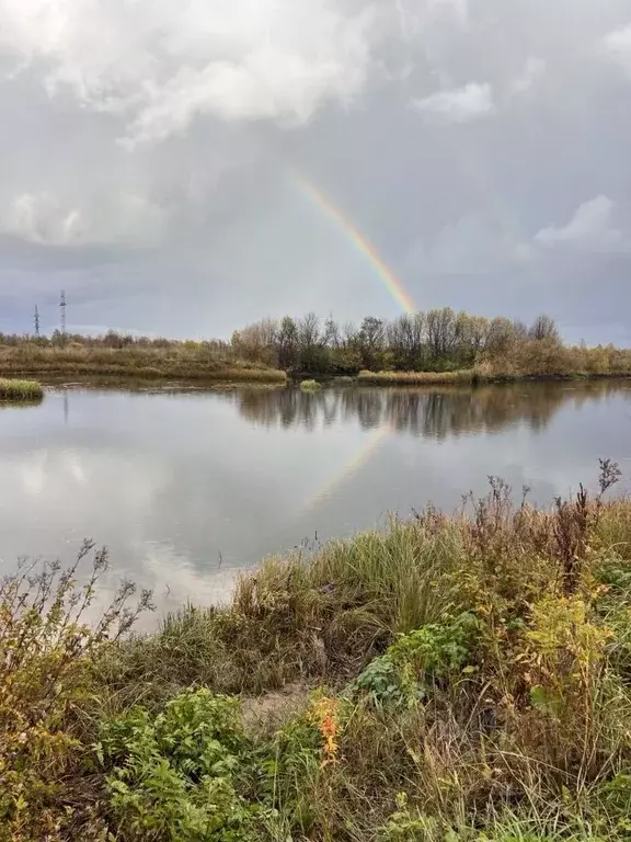 Участок в Архангельская область, Архангельск пос. Боры,  (12.0 сот.) - Фото 0