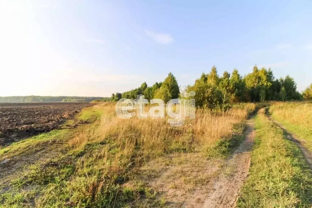 Участок в село Мальцево (22.3 м) - Фото 1