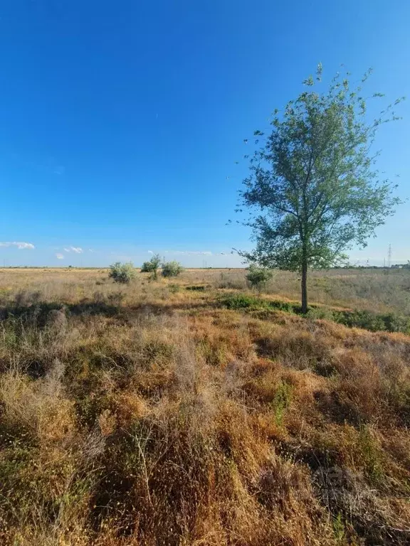 Участок в Астраханская область, Приволжский район, пос. Поляна ул. ... - Фото 0