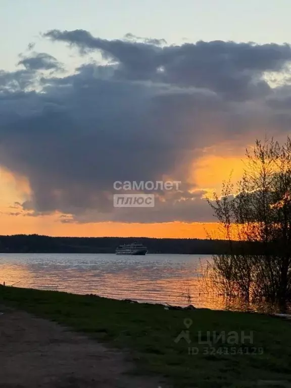 Участок в Пермский край, Пермский муниципальный округ, с. Нижние Муллы ... - Фото 1