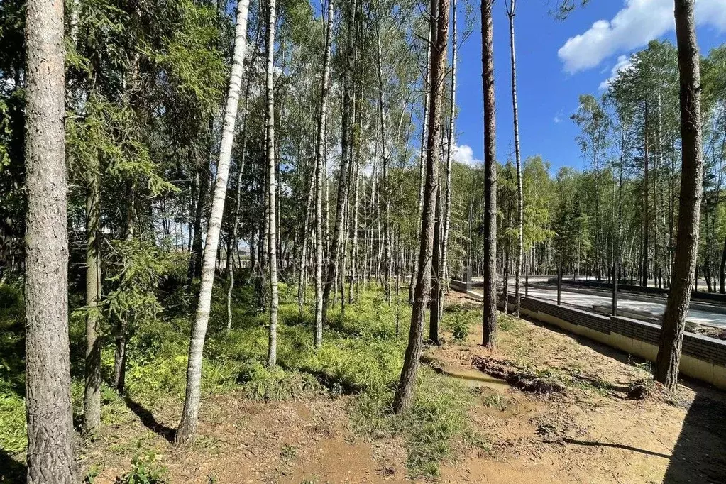 Участок в Московская область, Красногорск городской округ, д. ... - Фото 0