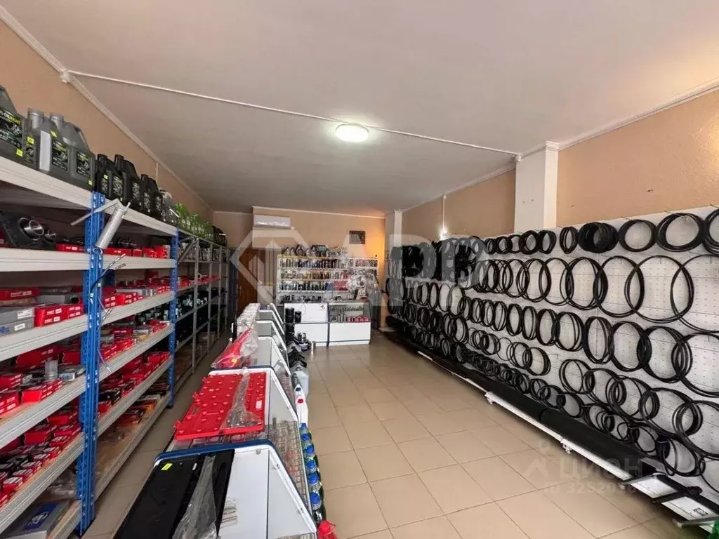 Помещение свободного назначения в Краснодарский край, Геленджик просп. ... - Фото 2