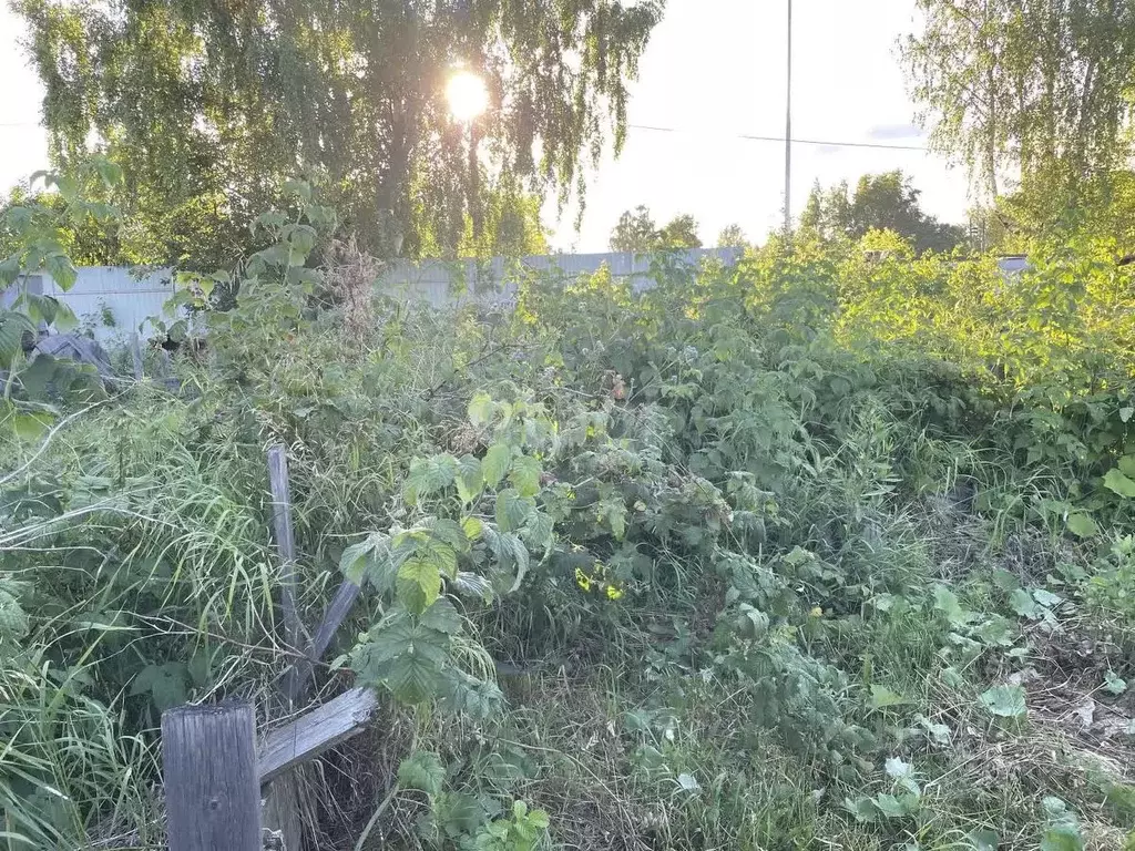 Участок в Архангельская область, Котлас ул. 7-го Съезда Советов, 48 ... - Фото 1