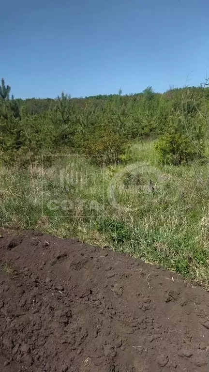 Дача 46,3 м на участке 5,6 сот. - Фото 1