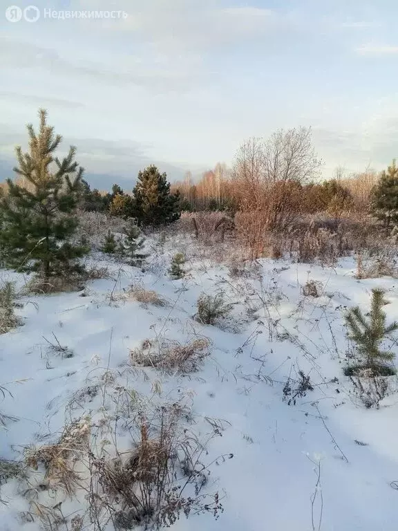 Участок в Заводоуковск, садовое общество Озерки (15 м) - Фото 2