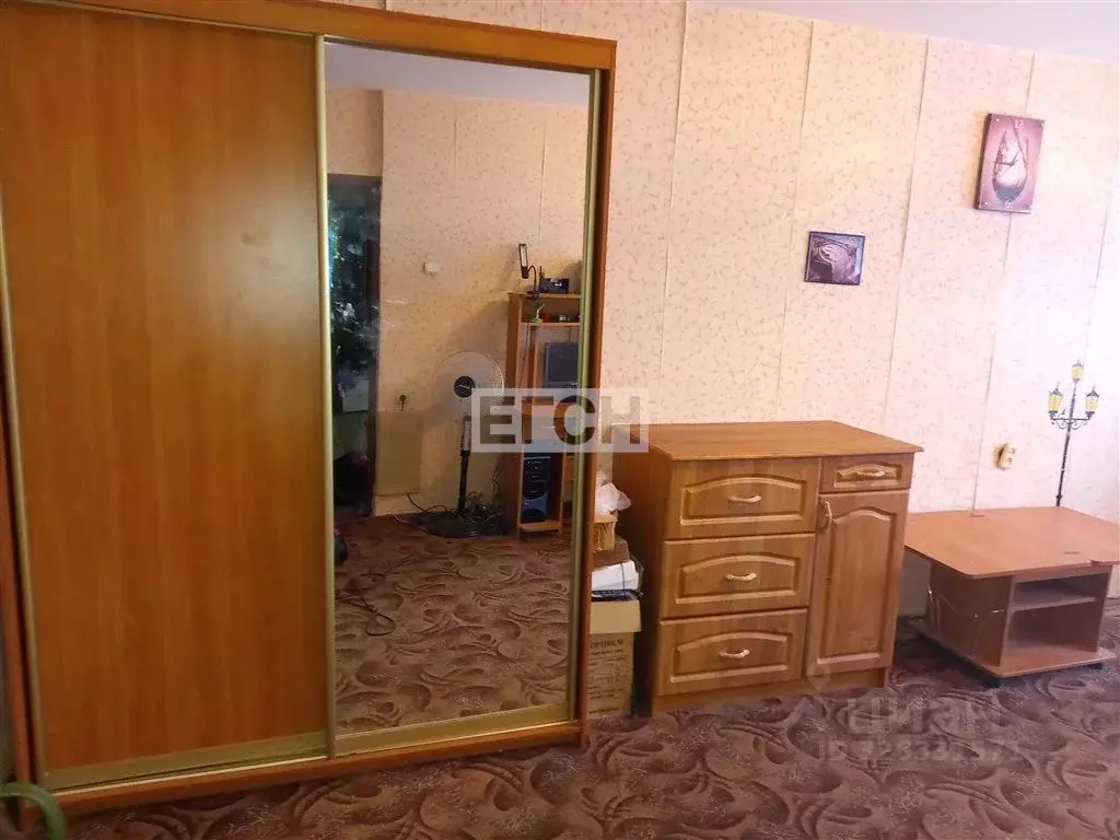 1-к кв. Московская область, Ногинск Богородский городской округ, ... - Фото 2