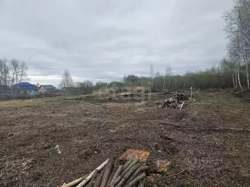 Участок в Тюменская область, Тюмень Ясень садовое товарищество, ул. ... - Фото 1