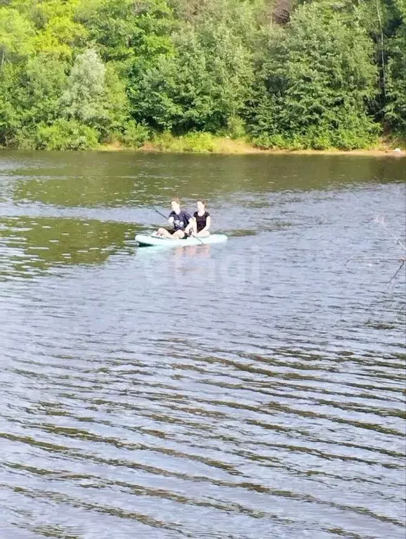 Участок в Пермский край, Пермь Ласьва-1 СНТ,  (17.0 сот.) - Фото 1