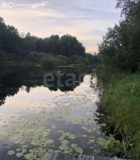 Участок в деревня Петропавлово, Петропавловская улица (32 м) - Фото 1