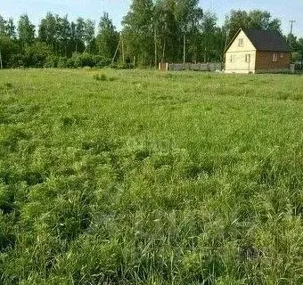 Участок в Липецкая область, Задонский район, Болховской сельсовет, д. ... - Фото 0