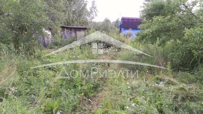 Участок в Нижегородская область, Кстовский муниципальный округ, д. ... - Фото 1