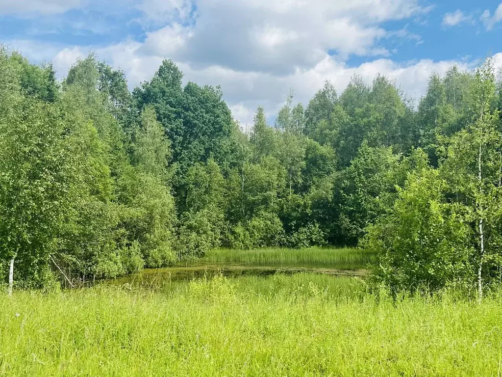 Участок в Московская область, Клин городской округ, д. Тиликтино  ... - Фото 1