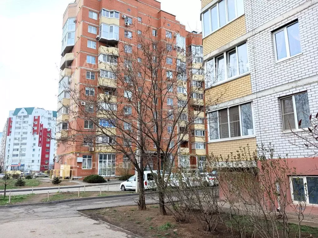 Помещение свободного назначения в Волгоградская область, Волжский ул. ... - Фото 2