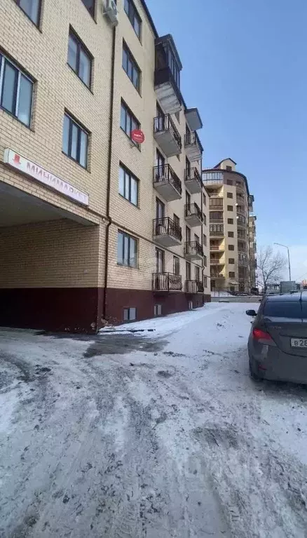 Торговая площадь в Ингушетия, Магас ул. Саида Чахкиева (63 м) - Фото 0