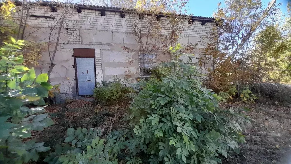 Помещение свободного назначения в Волгоградская область, Михайловский ... - Фото 0
