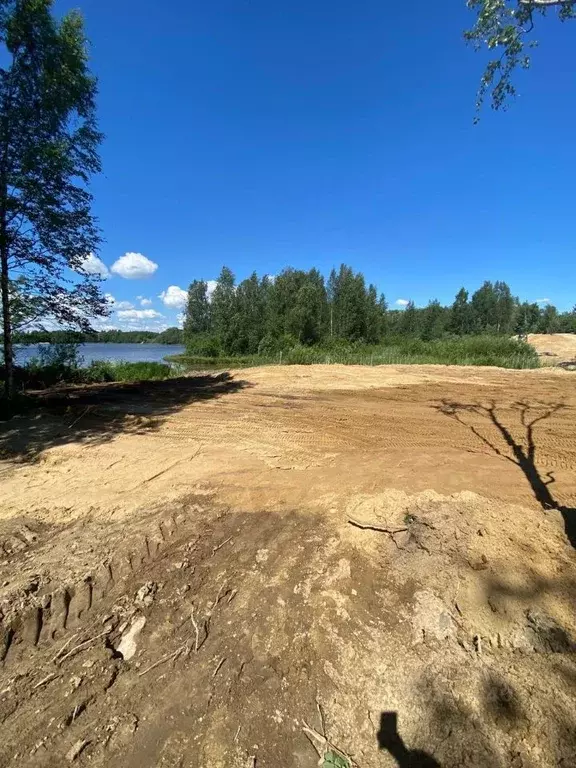 Участок в Ленинградская область, Всеволожский район, Лесколовское ... - Фото 1