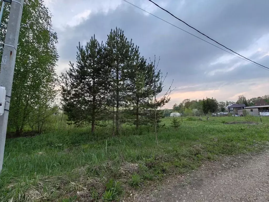 Участок в Московская область, Бронницы ул. Ново-Меньшовская (10.6 ... - Фото 2