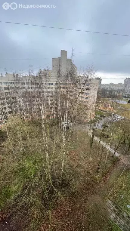 1-комнатная квартира: Санкт-Петербург, улица Пионерстроя, 7к3 (32 м) - Фото 1