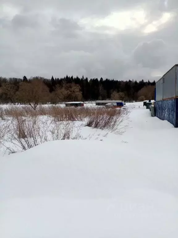 Участок в Калужская область, Жуковский муниципальный округ, с. Совхоз ... - Фото 2