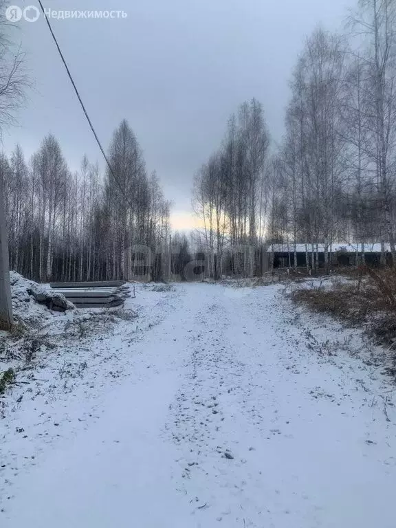 Участок в Барышевский сельсовет, ДНП Лазурный берег (11.88 м) - Фото 2