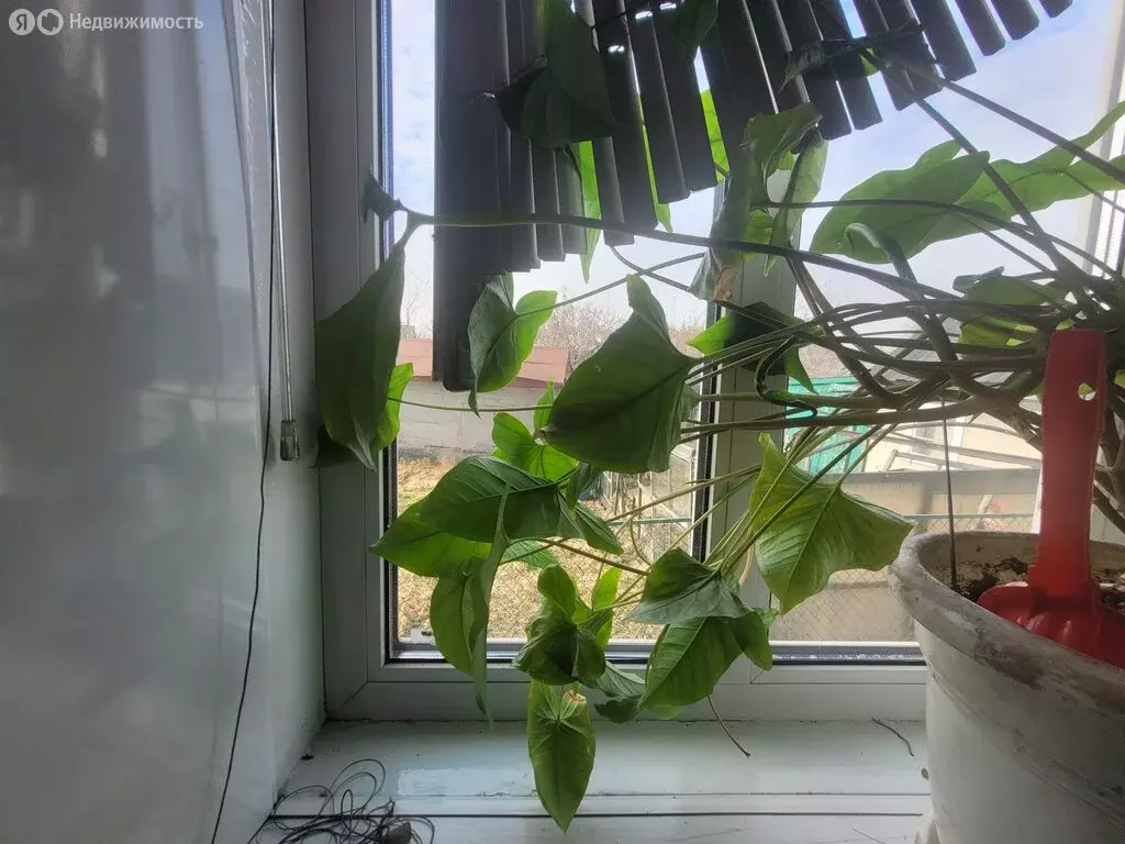 Дом в Ленинск-Кузнецкий, переулок Седова, 14 (70 м) - Фото 1