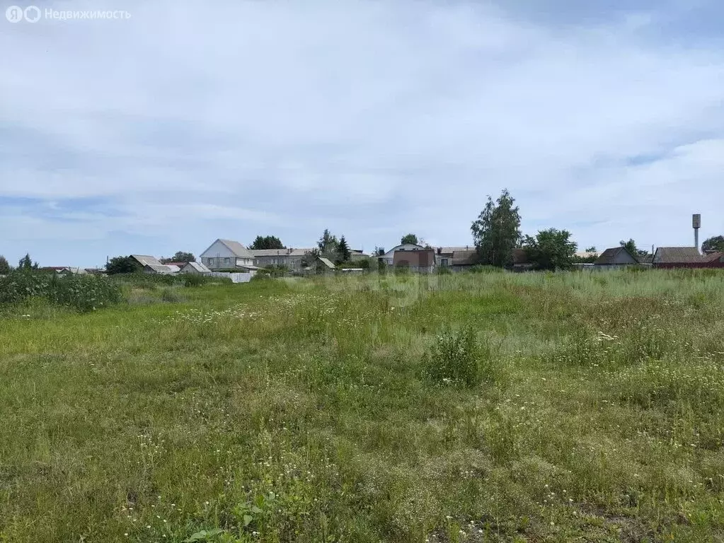 Участок в Репное, Советская улица (8 м) - Фото 0