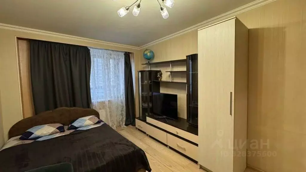 Студия Санкт-Петербург Туристская ул., 24/42 (29.5 м) - Фото 2