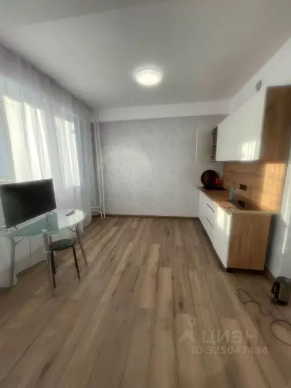 Студия Новосибирская область, Новосибирский район, с. Криводановка, ... - Фото 1