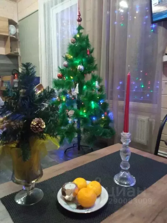 Дом в Ленинградская область, Лужский район, Скребловское с/пос, д. ... - Фото 2