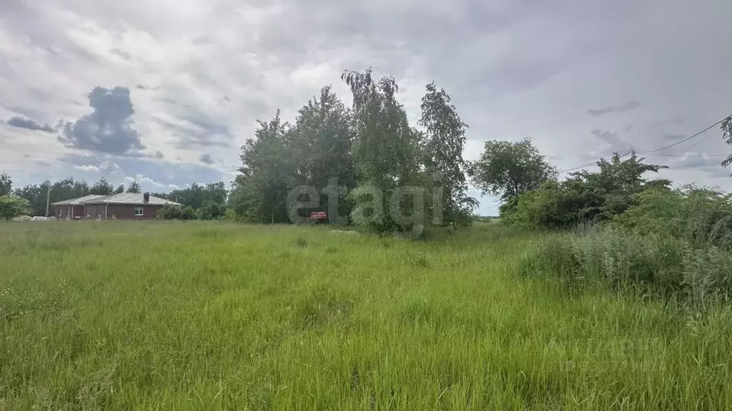 Участок в Воронежская область, с. Новая Усмань ул. Виноградная, 66А ... - Фото 1
