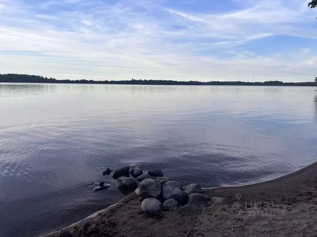 Участок в Ленинградская область, Приозерский район, Мельниковское ... - Фото 2