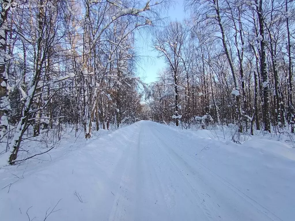 Дом в Московская область, городской округ Серпухов, деревня Борисово ... - Фото 2