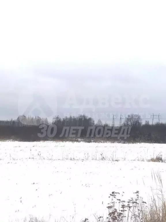 Участок в Тюменская область, Тюменский район, с. Каменка  (7.52 сот.) - Фото 1