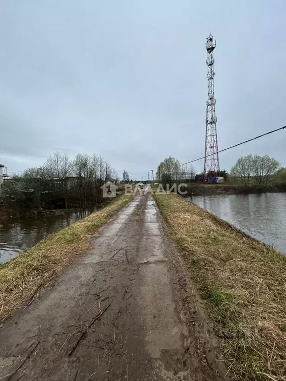 Участок в Московская область, Раменский городской округ, д. Васильево ... - Фото 0