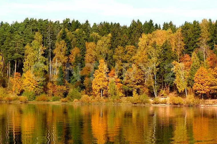 Участок в деревня Волынщино (557.5 м) - Фото 0